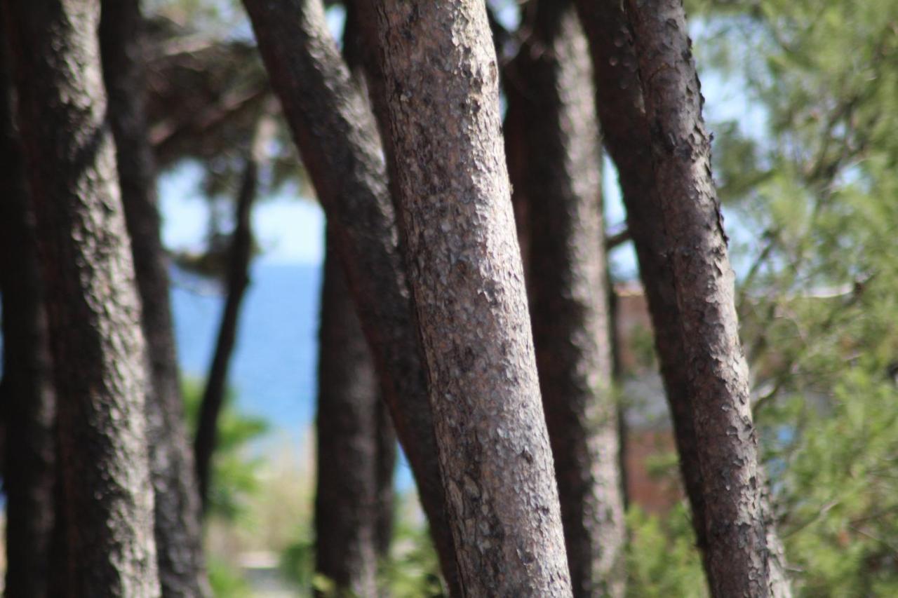 Park Le Dune Di Giovino Hotel