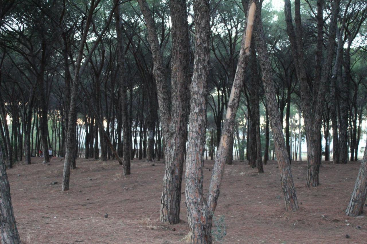 Park Le Dune Di Giovino Hotel 4*